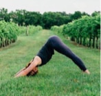 Yoga Vine