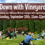 New Yoga In The Vineyards