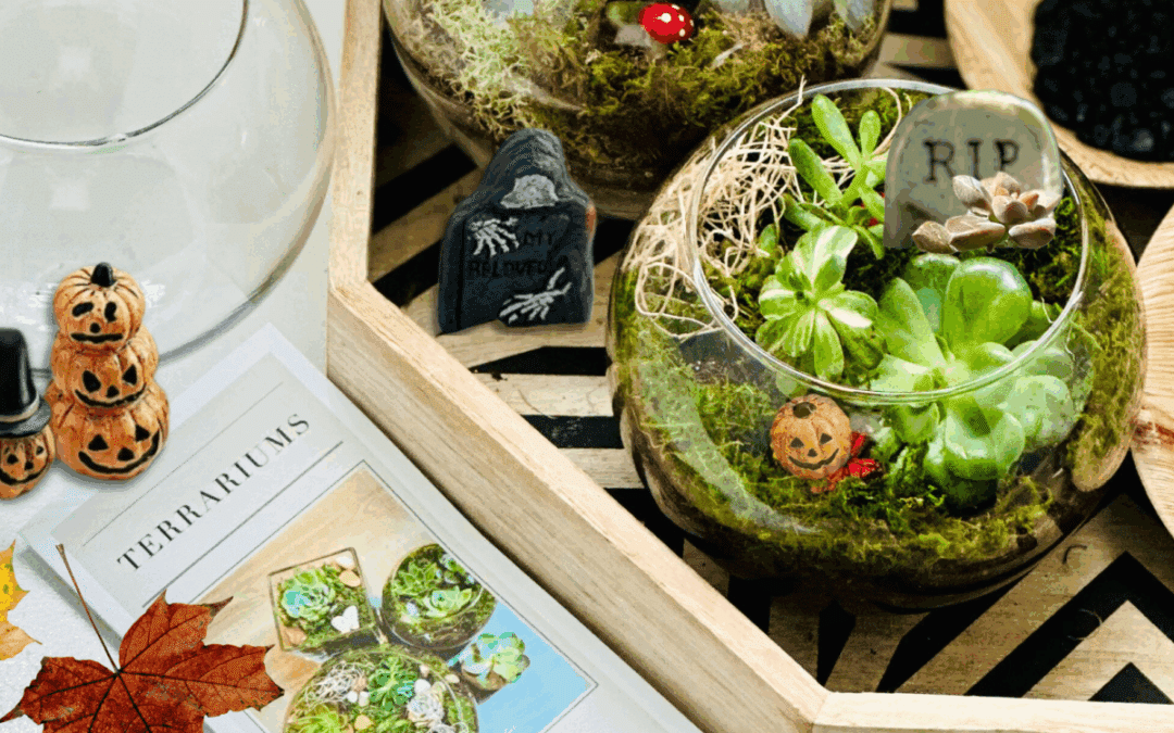 Cemetery Terrarium Workshop