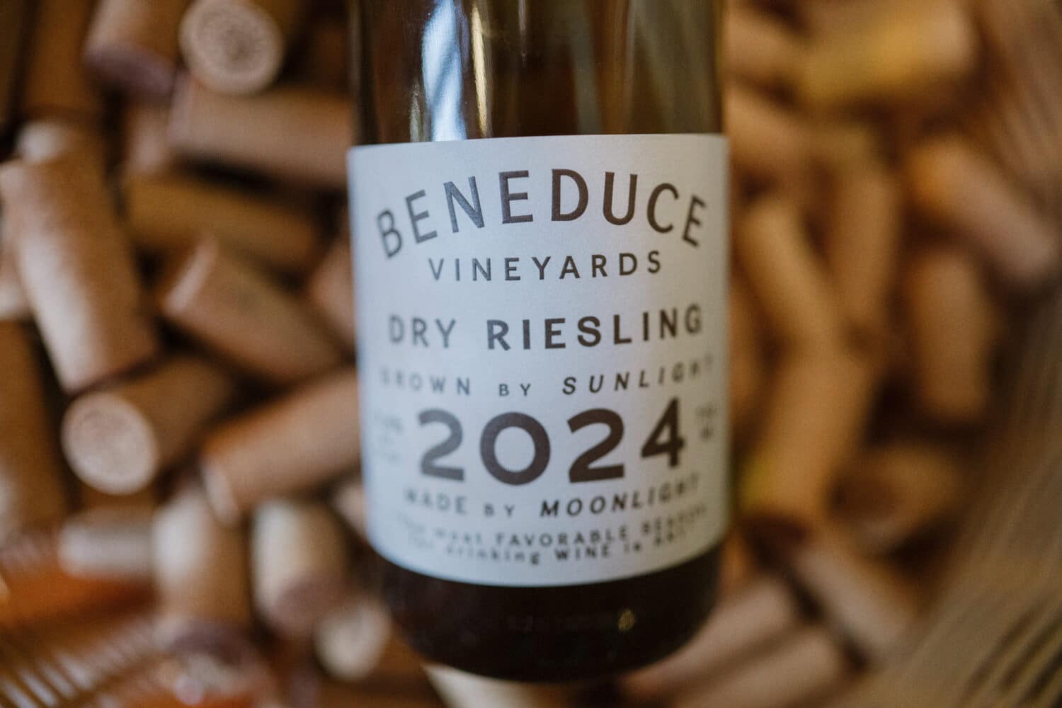 Spotlight On: Beneduce Vineyards