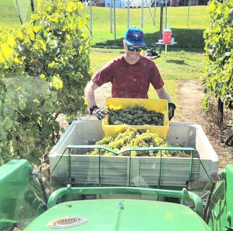 Spotlight On: Brook Hollow Winery