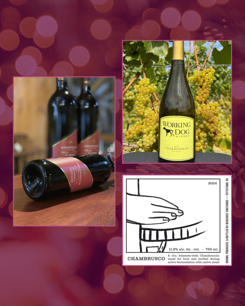Spotlight On: Feasting Wines
