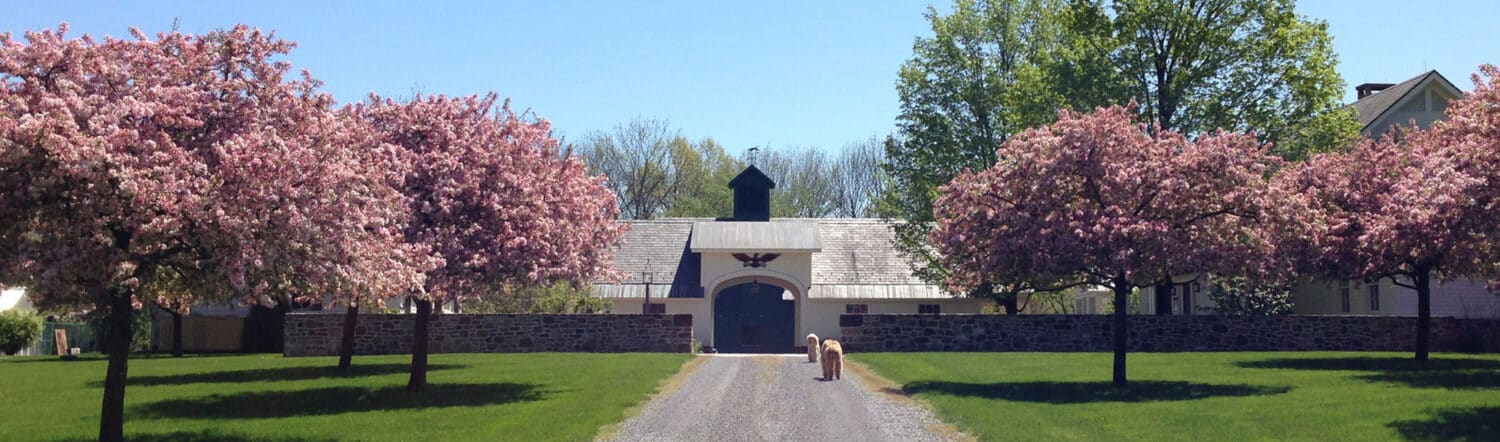 Spotlight On: Sky Acres Winery