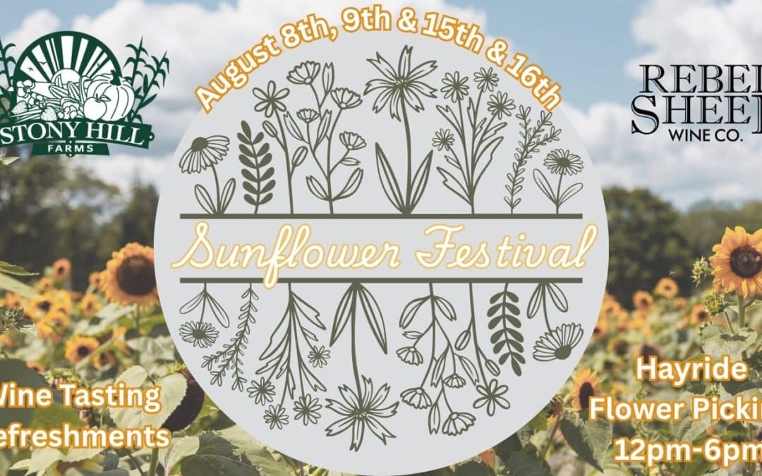 Sunflower Festival