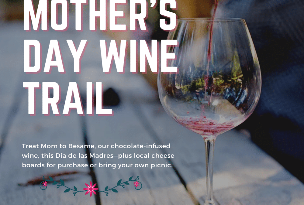 Dia de las Madres – Mother’s Day