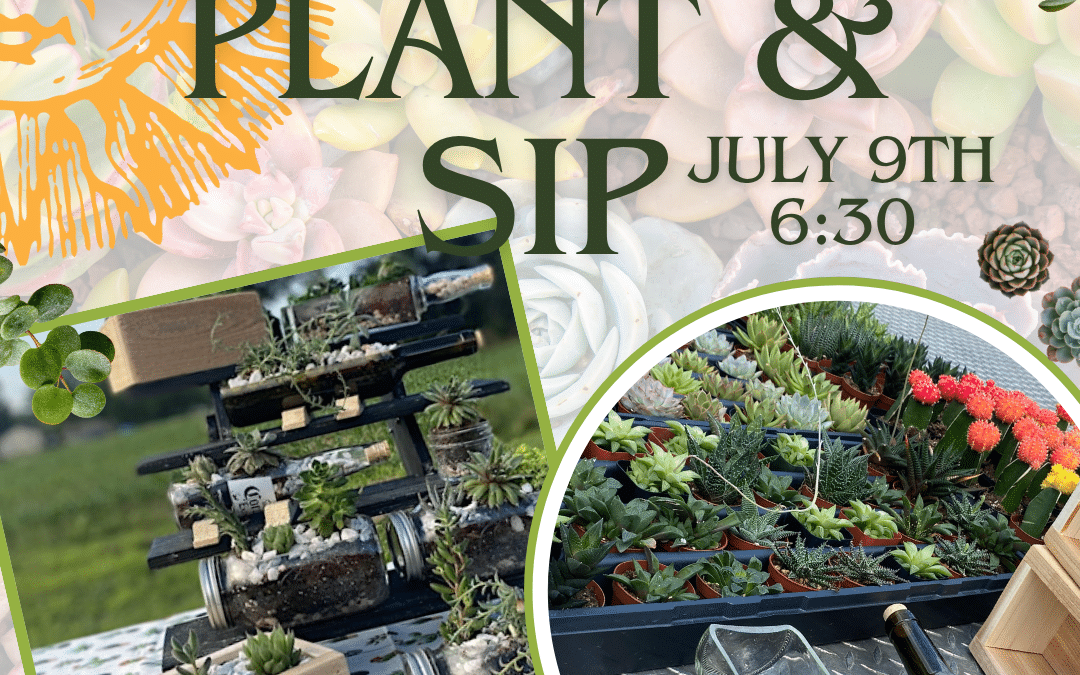 Plant and Sip with Barnyard Friends